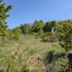 Preview of property Corner Plot Morris Road, Newton Grange, EH22 4ST - 8