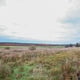 Preview of property Land At Sheilhill Road, Longriggend, Airdrie, ML6 7TR - 16
