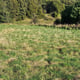Preview of property Building Plot At Hillside House, Rothes, Aberlour, Moray, AB38 7AQ - 6
