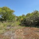 Preview of property Corner Plot Morris Road, Newton Grange, EH22 4ST - 19
