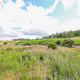 Preview of property Former Mosside Transport Cafe, Grantshouse, Duns, TD11 3RW - 11