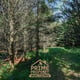 Preview of property Land At Bailey Mill Near Kielder Forest, Cumbria, TD9 0TR - 10