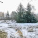 Preview of property Land at Seafar Road, Cumbernauld, G67 1HP - 8