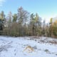 Preview of property Land at Seafar Road, Cumbernauld, G67 1HP - 4