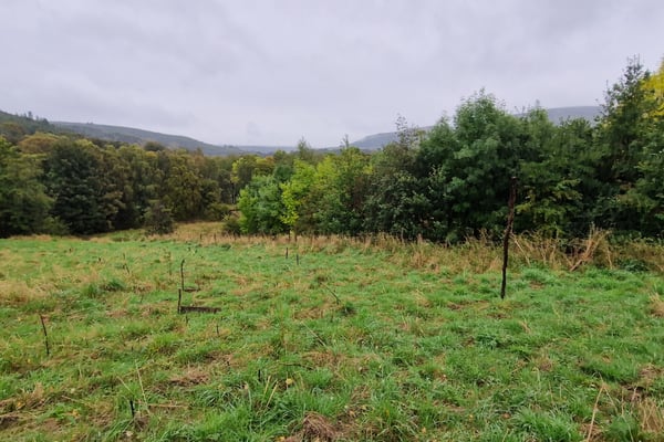 Preview of property Building Plot At Hillside House, Rothes, Aberlour, Moray, AB38 7AQ