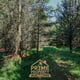 Preview of property Land At Bailey Mill Near Kielder Forest, Cumbria, TD9 0TR - 9