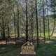 Preview of property Land At Bailey Mill Near Kielder Forest, Cumbria, TD9 0TR - 16