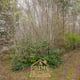 Preview of property Plot At Moray Park Gardens, Inverness, IV2 7FY - 6
