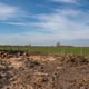 Preview of property Owl Barn, 10 Hale Fen, Littleport, CB6 1EL - 7