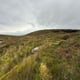 Preview of property Land at The Burn Of Laxdale, Shetland, ZE2 9HB - 5