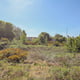 Preview of property Corner Plot Morris Road, Newton Grange, EH22 4ST - 22