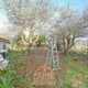 Preview of property 49 High Street, Selkirk, TD7 4BZ - 21