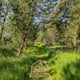 Preview of property Land At Bailey Mill Near Kielder Forest, Cumbria, TD9 0TR - 6