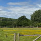 Preview of property Plot Of Land Near Downingbury Farm House, Kent, TN2 4AD - 2