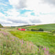 Preview of property Former Mosside Transport Cafe, Grantshouse, Duns, TD11 3RW - 13