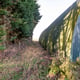 Preview of property Owl Barn, 10 Hale Fen, Littleport, CB6 1EL - 16