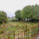 Preview of property Plot At Overton Street, Glasgow, G72 7QH - 8