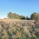 Preview of property Land At Ceolmara Findon Road, Porlethen, AB12 3RN - 2