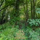 Preview of property Land At Ferrybrae, Kilcreggan, G84 0JL - 8