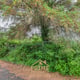 Preview of property Land at 12 Stirling Road, Drymen, G63 0BN - 5
