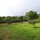 Preview of property Stables Cottage Stables Cottage and Stables End Cottage, Kirkcudbright, DG6 4XB - 20