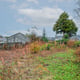 Preview of property Land at 2 Wellington Terrace, Keith, AB55 5BY - 4