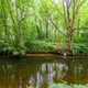 Preview of property Land At South East Of Manchester Road, Warrington, WA3 6JZ - 12