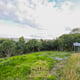 Preview of property Land At Ferrybrae, Kilcreggan, G84 0JL - 3
