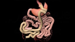 Bariatric Operations