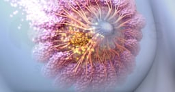 What is Hormone Therapy for Breast Cancer? 