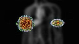 LDL and HDL Cholesterol