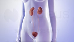 Urinary Tract Infection in Women
