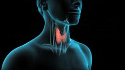 Thyroidectomy