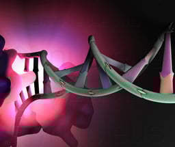 DNA - Helicase Enzyme