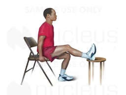 Knee Extension Exercise