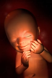 Week 19 in Fetal Development - Smile