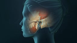 Temporomandibular Joint and Associated Musculature
