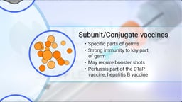 What are Subunit and Conjugate Vaccines? 