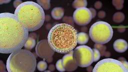 Structural Anatomy of Lipid Molecules