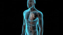 Low Testosterone Therapy