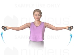 Lateral Raise