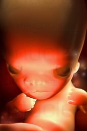 Week 09 in Fetal Development - Face Development