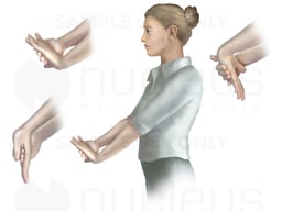 Wrist Stretches