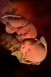 Week 40 in Fetal Development - Engaged