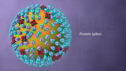 Influenza Virus Particle with Protein Spikes Highlighted