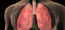 Lung Cancer Staging: Small Cell