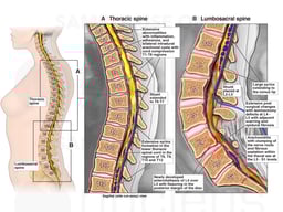 Subsequent Conditions