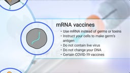 What are mRNA Vaccines? 