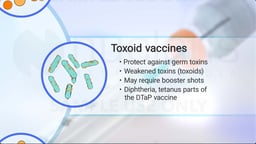 What is a Toxoid Vaccine?