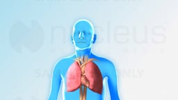 Pulmonary Rehabilitation